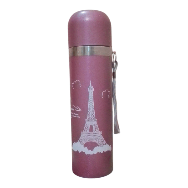 Stainless Water Bottle 500ml